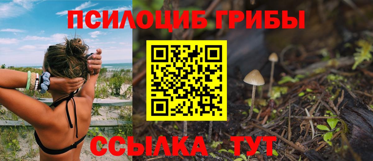 Alpha PVP СК   Кингисепп  Меф МЯУ МЯУ   Вход с VPN  НБОМе  Гашиш  Конопля  МЕФ  ГАШ  Кокаин 